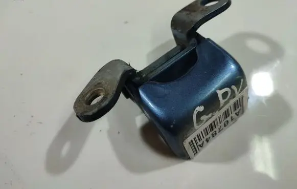 Rear door lower hinge