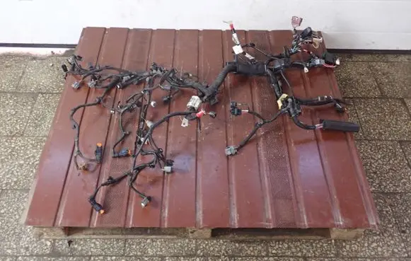 Renault Clio V Other wiring loom 