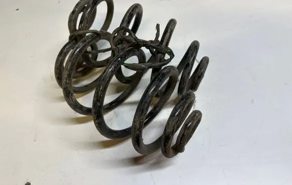 Volkswagen PASSAT B5.5 Rear coil spring