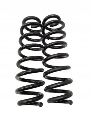 Opel Insignia B Rear coil spring