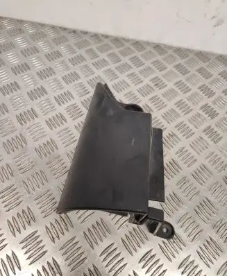 Rear/tail light trim molding