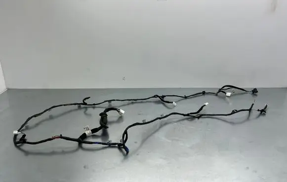 Hyundai Santa Fe Tailgate/trunk wiring harness 916802W020