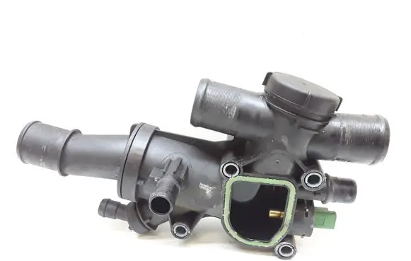 Thermostat/thermostat housing