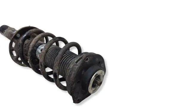 Volkswagen PASSAT B6 Front shock absorber/damper 