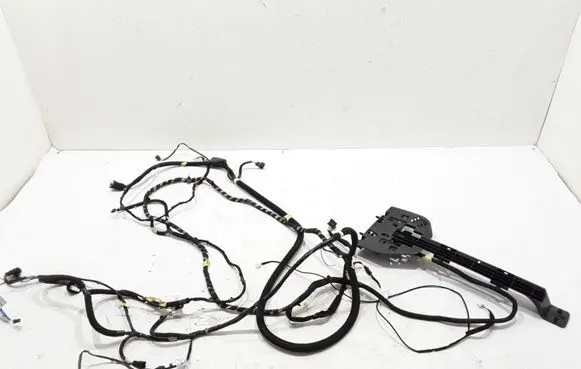 Other wiring loom