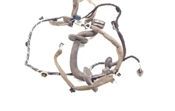 Front door wiring loom
