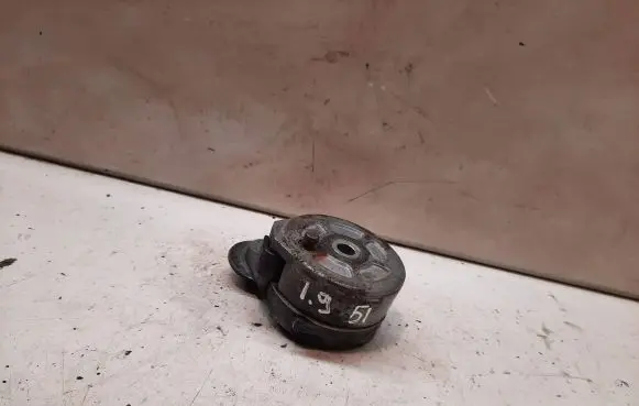 Peugeot Partner Alternator belt tensioner 