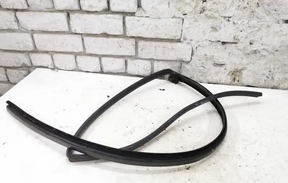 Nissan Primastar Front door rubber seal