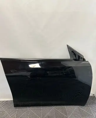 Tesla Model Y Front door