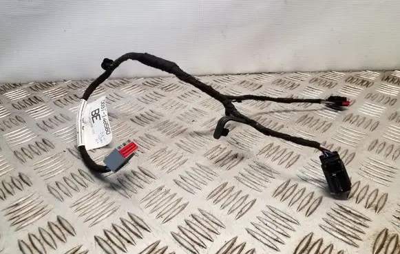 Other wiring loom