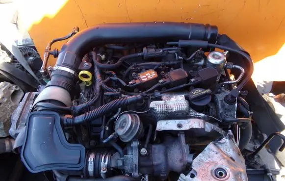 Ford Focus Engine M1DD