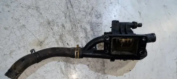 Thermostat/thermostat housing
