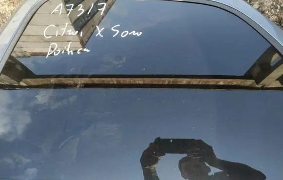 Citroen Xsara Picasso Rear door window glass