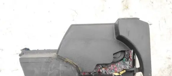 Opel Signum Other interior part 24443163 315031203