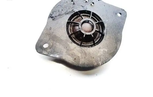 Front door speaker