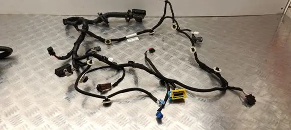 Peugeot 3008 III Front door wiring loom 9840764580
