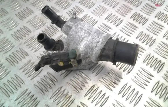 Thermostat/thermostat housing