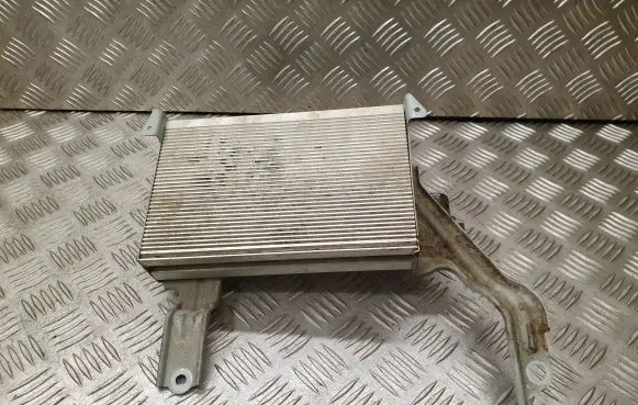 Sound amplifier