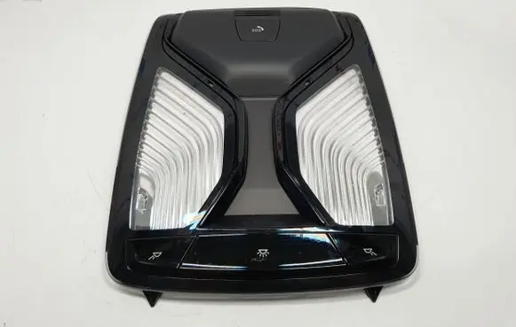 BMW 5 G30 G31 Front seat light 9483598 61319483598 61315B32490