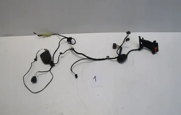Volkswagen PASSAT B7 Rear door wiring loom 3AA971694BT