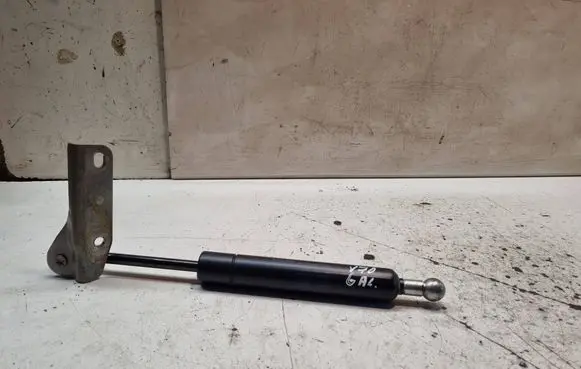Tailgate/trunk strut/damper