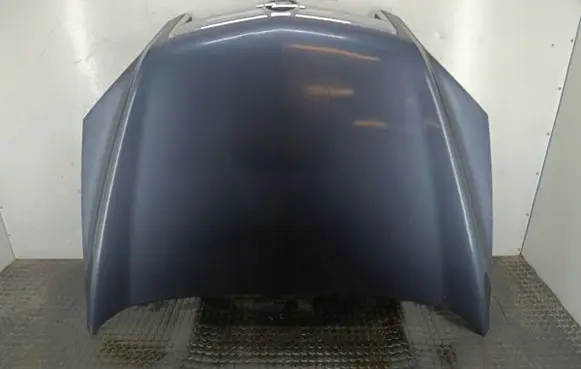 Opel Antara Engine bonnet/hood Z88U