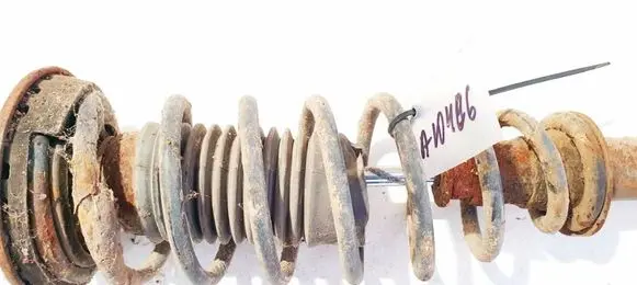 Rear coil spring