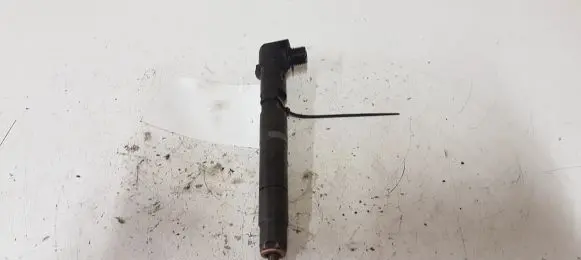 Jeep Compass Fuel injector A6510700587
