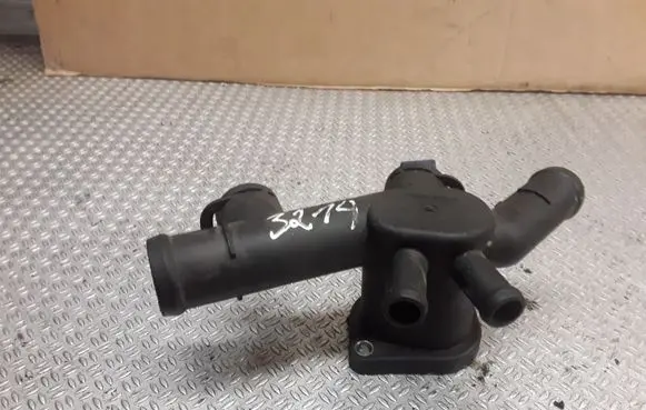 Thermostat/thermostat housing