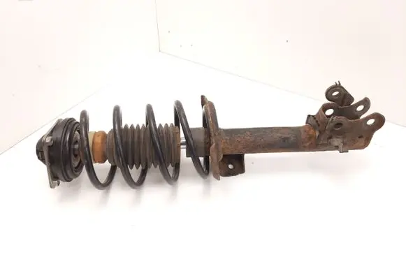 Mercedes-Benz B W245 Front shock absorber with coil spring A1694210694
