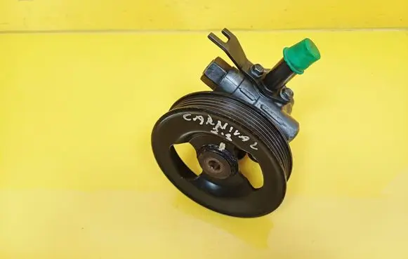 KIA Carnival Power steering pump 1721D185