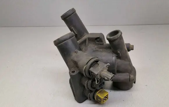 Thermostat/thermostat housing