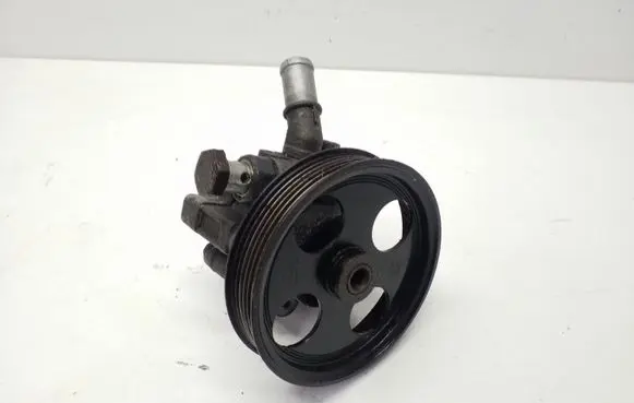 Opel Insignia A Power steering pump 55563329 13309336