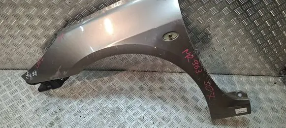 Peugeot 307 Fender S27610897
