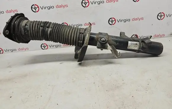 Ford Kuga I Front shock absorber/damper 8V4118K001fa E5620101