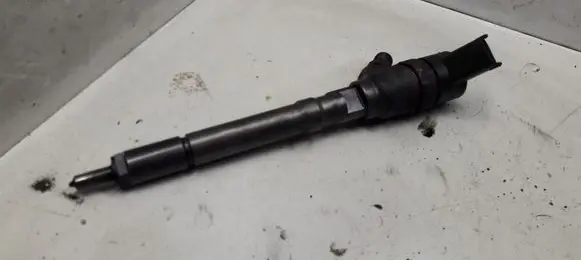 Hyundai Santa Fe Fuel injector 3380027010