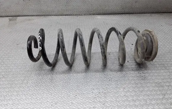Volkswagen PASSAT B6 Rear coil spring