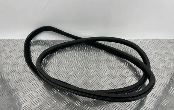 BMW X5 F15 Rear door rubber seal (on body) 7289639