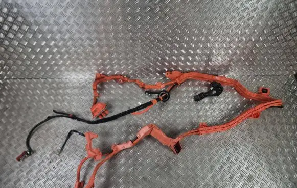 Lexus NX Other wiring loom 8216578020K