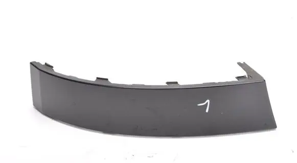 Rear/tail light trim molding