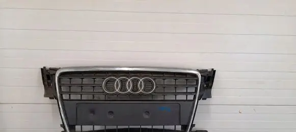 Audi A4 S4 B8 8K Front grill 1234