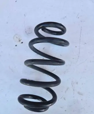 Rear coil spring