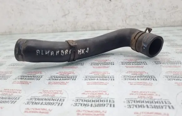 Seat Alhambra (Mk1) Engine coolant pipe/hose
