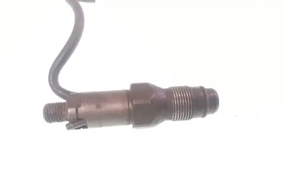 Peugeot Partner Fuel injector LCR6736001