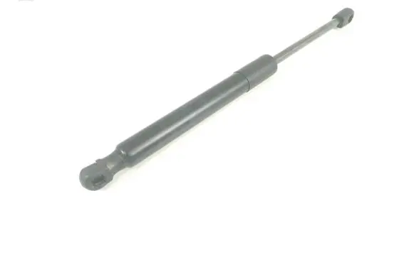 Tailgate strut
