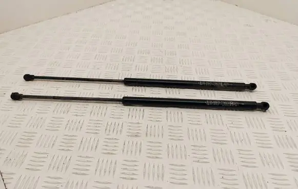 Renault Koleos I Tailgate/trunk strut/damper 904505599R