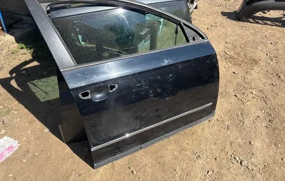 Volkswagen PASSAT B6 Front door 