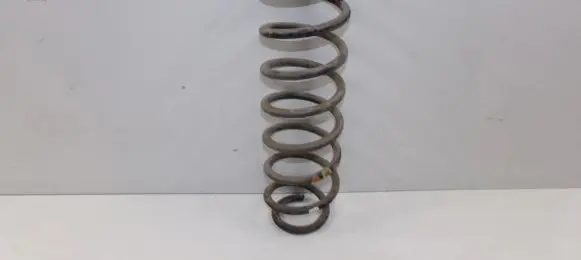 Skoda Fabia Mk1 (6Y) Rear coil spring