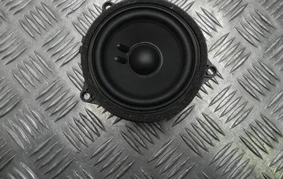 BMW 5 G30 G31 Front door high frequency speaker 9354085 R1804