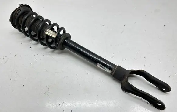 Dodge Durango III Front shock absorber with coil spring 68029501AE 55553E 1A14973A